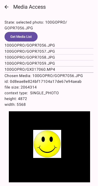 initial demo app